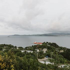 Howard Road trail, a walk through native bush with views of the Wellington Harbour.