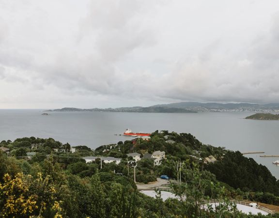 Howard Road trail, a walk through native bush with views of the Wellington Harbour.