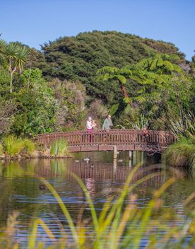 2 adults and 2 children walkng along a bridge in the Ngā Manu Nature Reserve, looking at the ducks in the water below, surrounded by native bush.