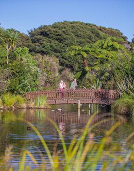 2 adults and 2 children walkng along a bridge in the Ngā Manu Nature Reserve, looking at the ducks in the water below, surrounded by native bush.