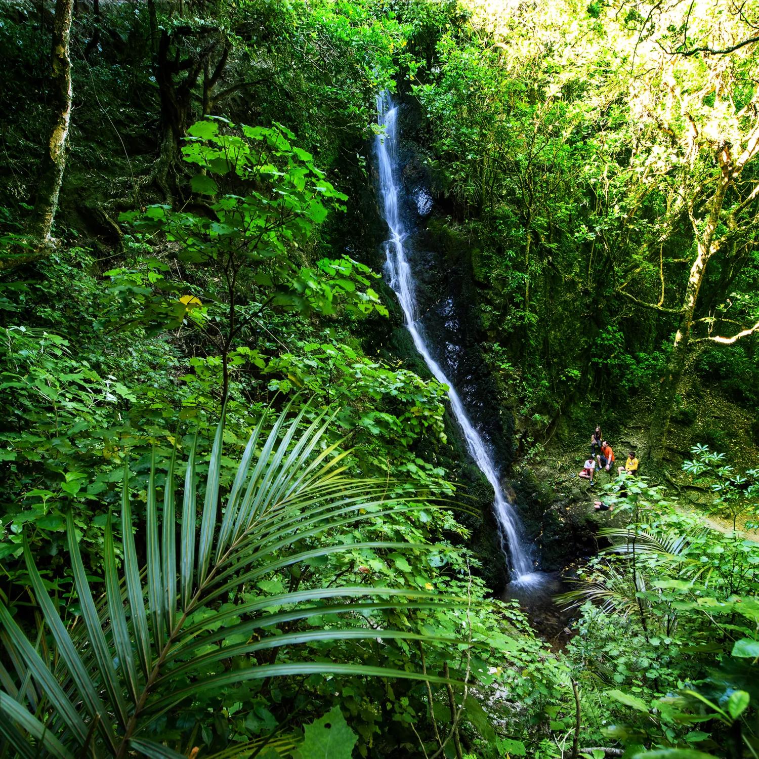 A family under a waterfall in Percy Reserve.