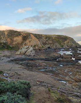 An expansive, coastal area of park and wilderness just north of the capital. With 180 hectares of open space and pockets of native bush, Whitireia Park is where people in Porirua come to roam on foot, bike, or hoof.