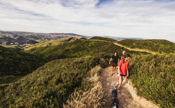 Three people and a dog walking along the Skyline Walkway to the summit of Mount Kaukau / Tarikākā.