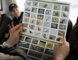 A booklet with all of the native birds you can find on Kapiti Island.