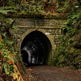 The old train tunnel on Tane’s Track, a hiking trail in the Hutt Valley near Wellington. The grey stone brick facade is surrounded by green lush native bush.