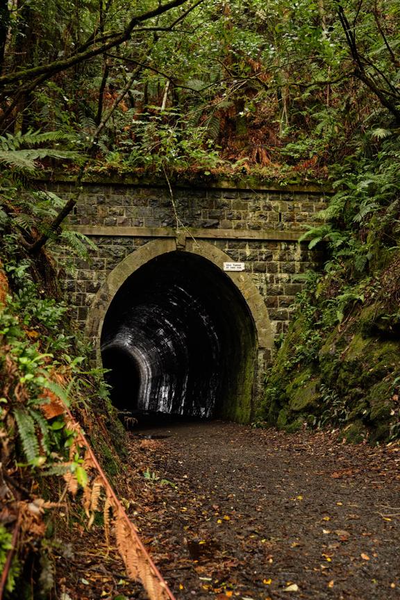 The old train tunnel on Tane’s Track, a hiking trail in the Hutt Valley near Wellington. The grey stone brick facade is surrounded by green lush native bush.
