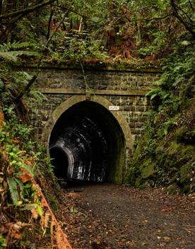 The old train tunnel on Tane’s Track, a hiking trail in the Hutt Valley near Wellington. The grey stone brick facade is surrounded by green lush native bush.