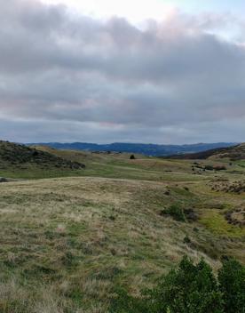 An expansive, coastal area of park and wilderness just north of the capital. With 180 hectares of open space and pockets of native bush, Whitireia Park is where people in Porirua come to roam on foot, bike, or hoof.