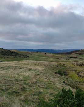 An expansive, coastal area of park and wilderness just north of the capital. With 180 hectares of open space and pockets of native bush, Whitireia Park is where people in Porirua come to roam on foot, bike, or hoof.