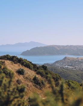 The scenic view from Rangituhi Colonial Knob lookout.