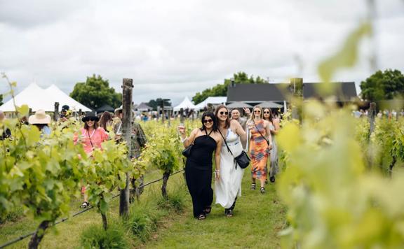 Festival goers enjoy wine and walk through a vineyard at Toart Matinborough.