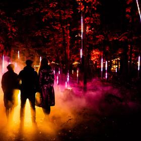 Light Cycles is an outdoor digital art experience that will transform the Wellington Botanic Garden. Colourful lights are projected through the trees and silhouetted figures are seen in the background.