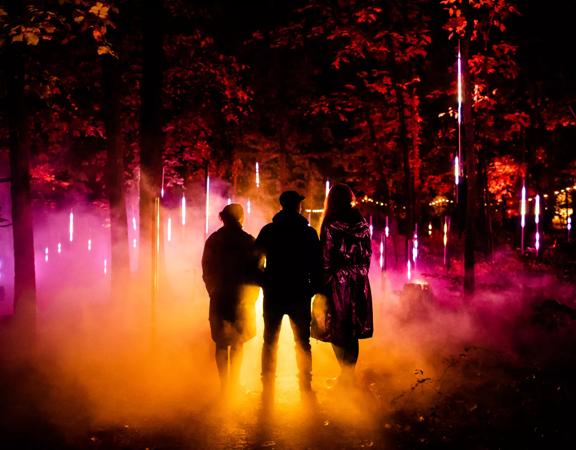 Light Cycles is an outdoor digital art experience that will transform the Wellington Botanic Garden. Colourful lights are projected through the trees and silhouetted figures are seen in the background.