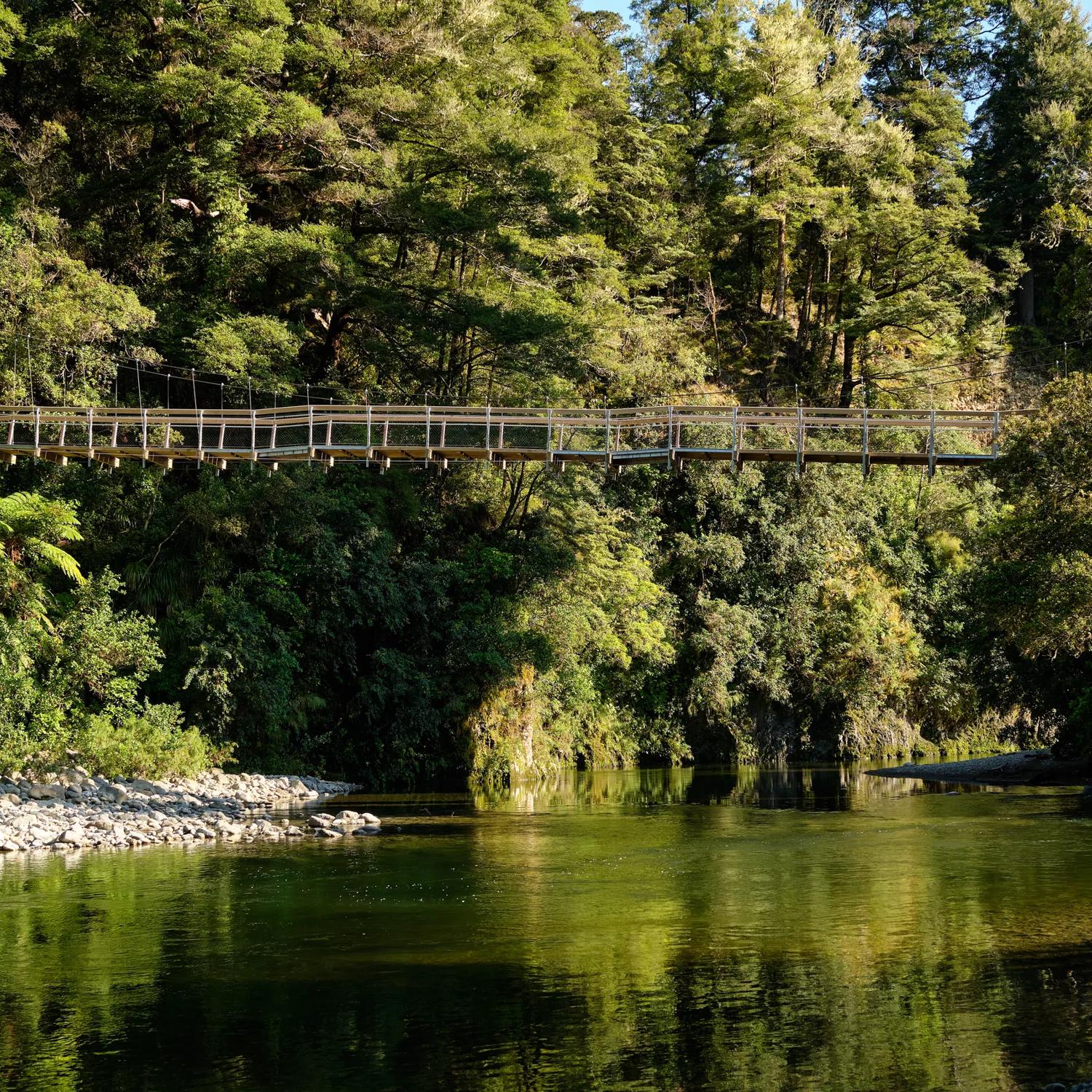 A large suspension bridge over a river surrounded by Native bush and trees in the Kaitoke Regional Park.