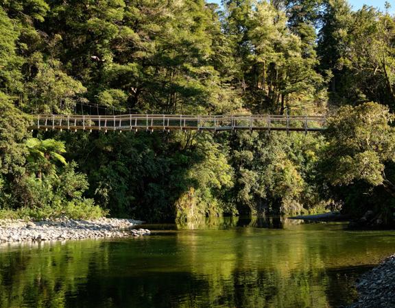 A large suspension bridge over a river surrounded by Native bush and trees in the Kaitoke Regional Park.