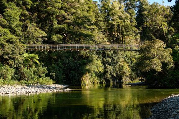 A large suspension bridge over a river surrounded by Native bush and trees in the Kaitoke Regional Park.