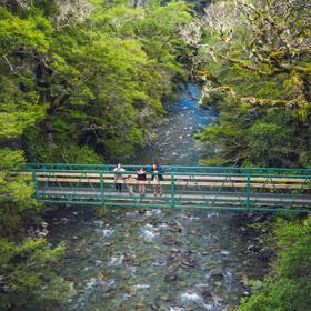 A drone shot of two adults and two kids standing on a bridge over a river in Tararua Forest Park.