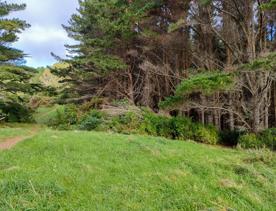 The rural, scenic screen location of Broken Hill Road, with green fields and lush forests surrounding.