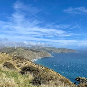 At the top of Mākara Walkway looking south, you can see the coastline with windmills dotting the hills. The top of the South Island an be seen in the distance.