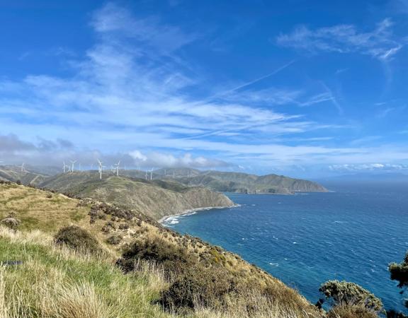 At the top of Mākara Walkway looking south, you can see the coastline with windmills dotting the hills. The top of the South Island an be seen in the distance.