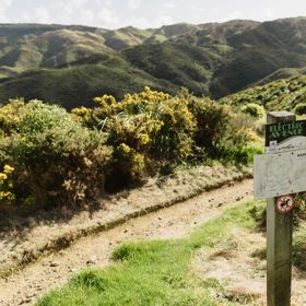 A sign post next to the Electric Avenue hiking trail.