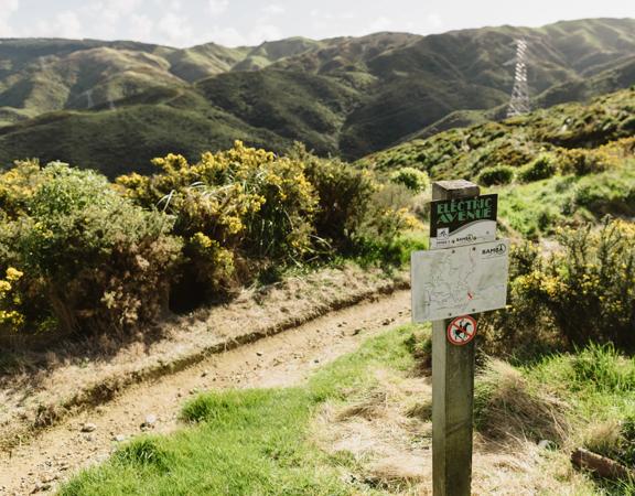 A sign post next to the Electric Avenue hiking trail.