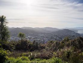 The Wrights Hill Fortress screen location, located in Karori overlooking Wellington from an old gun emplacement. The location includes historic monuments, underground landmarks, and tunnels.