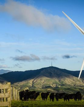 A short drive from the city is a stunning venue. Perched on a rugged coastline, it has sweeping views over the Cook Strait and the South Island.