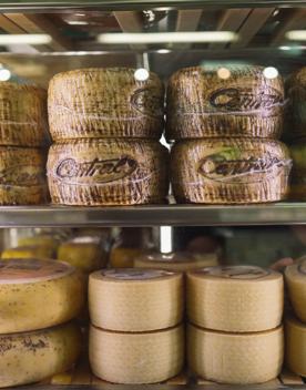 An industrial fridge stocked with big wheels of cheese.