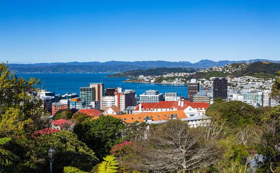 View from the Botanic Gardens looking over trees and out to the Wellington harbour.