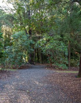 A well-equipped and popular outdoor space for families in Upper Hutt. On the edge of Te Awa Kairangi, Hutt River, Harcourt Park in Upper Hutt is a 40-minute drive north of Wellington.