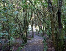 A well-equipped and popular outdoor space for families in Upper Hutt. On the edge of Te Awa Kairangi, Hutt River, Harcourt Park in Upper Hutt is a 40-minute drive north of Wellington.