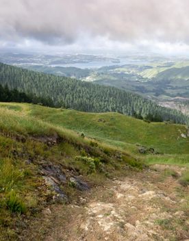 looking out to Pāuatahanui from the Battle hill farm summit over bush and grassy hills.