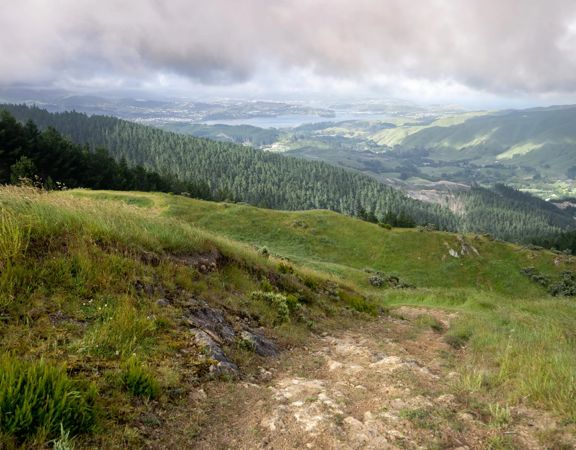 looking out to Pāuatahanui from the Battle hill farm summit over bush and grassy hills.