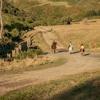 Three people ride on horseback on a dirt road.