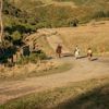 Three people ride on horseback on a dirt road.