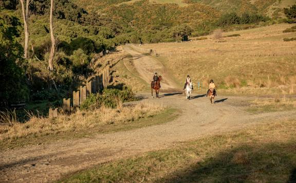 Three people ride on horseback on a dirt road. 