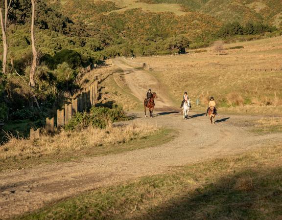 Three people ride on horseback on a dirt road.