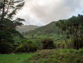 Camp Wainuiomata screen location. Has several buildings and is surrounded by forest and bush.