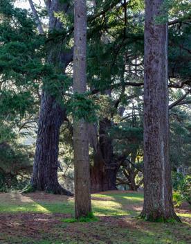 A well-equipped and popular outdoor space for families in Upper Hutt. On the edge of Te Awa Kairangi, Hutt River, Harcourt Park in Upper Hutt is a 40-minute drive north of Wellington.