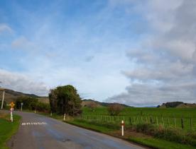 The screen location of Waitohu Valley Ōtaki, features native and exotic forests, pastoral lands, and wetlands.