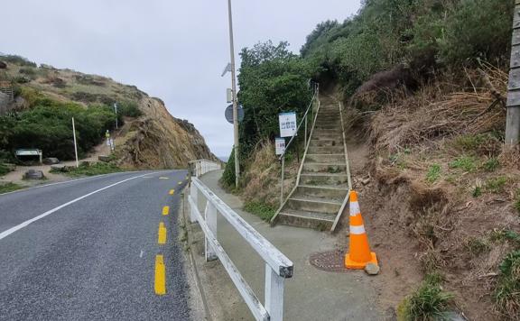 Road on the left and a foodpath on the right with steps leading up to native bush.