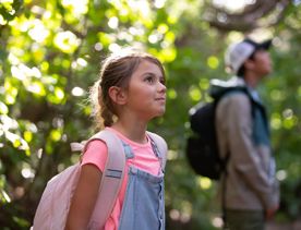 A child looks up in the trees on Kapiti Island.
