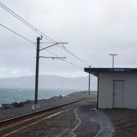 Ngauranga train station