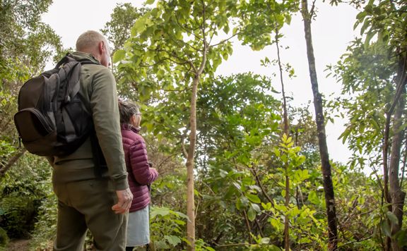 Two hikers enjoy the view from Trig Track on Kapiti Island Nature Reserve.