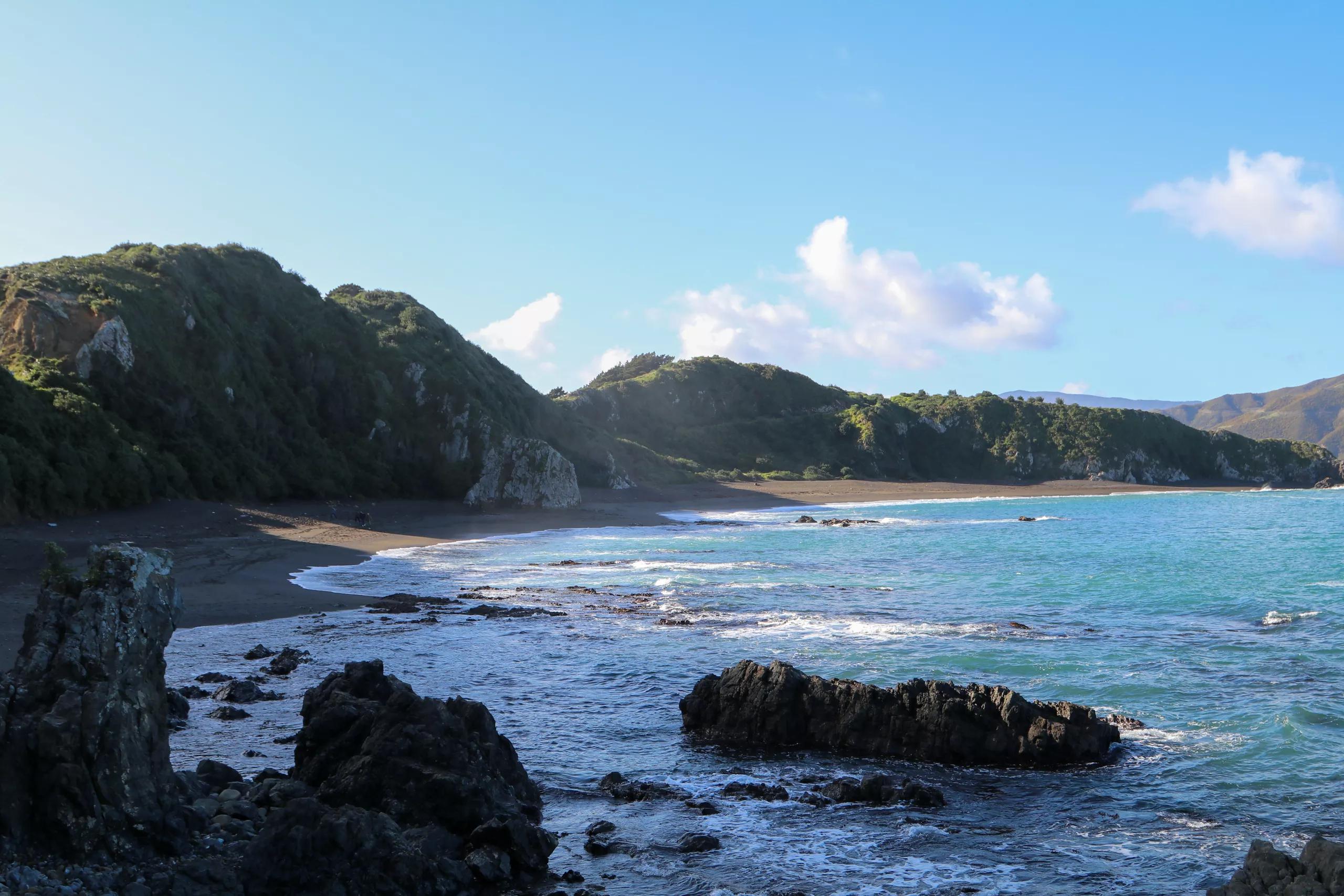 Breaker Bay - Screen Wellington