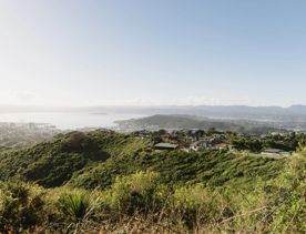 A section of the Sawmill trail in Waimapihi Reserve overlooking the Wellington Harbour.