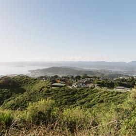 A section of the Sawmill trail in Waimapihi Reserve overlooking the Wellington Harbour.