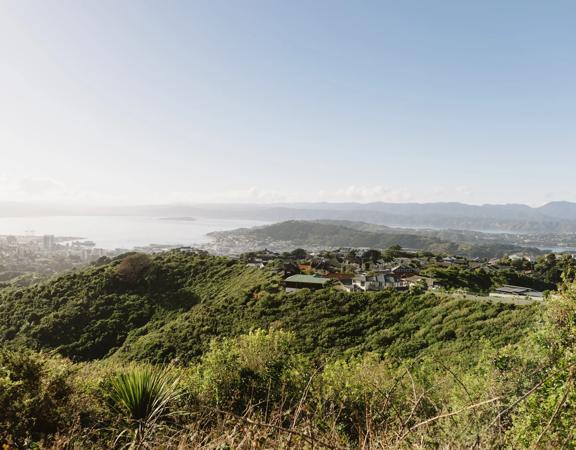 A section of the Sawmill trail in Waimapihi Reserve overlooking the Wellington Harbour.