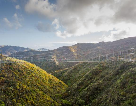 M kara Peak Mountain Bike Park Karori WellingtonNZ